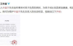 吃瓜作文娱乐圈,吃瓜群众眼中的繁华与喧嚣