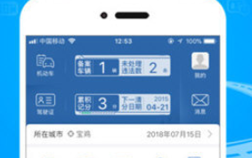 12123查违章2025年5月29日
