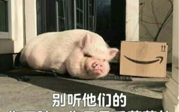 娱乐吃瓜酱猪猪视频下载,揭秘热门娱乐内容获取新方式